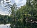 Part 6 - 1760 Purbrook Road, Bracebridge, ON 