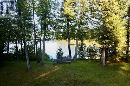 View from the deck - 31 Sheedy Lane, Killaloe, ON - Outdoor