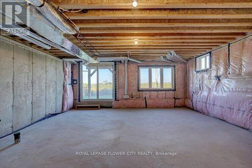 9 Mccormack Road, Caledon, ON - Indoor Photo Showing Basement