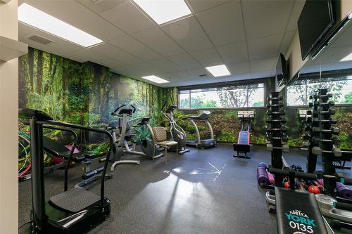 113-877 Klo Road, Kelowna, BC - Indoor Photo Showing Gym Room