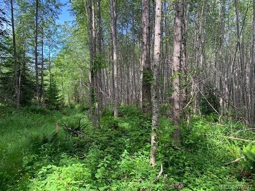 Lot B Wilfred Rd, Black Creek, BC 