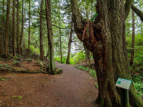 19-1002 Peninsula Rd, Ucluelet, BC - Outdoor