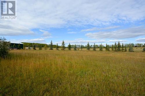 17848 Prespatou Road, Fort St. John, BC - Outdoor With View