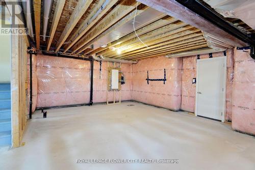 3 Bellflower Crescent, Adjala-Tosorontio (Colgan), ON - Indoor Photo Showing Basement