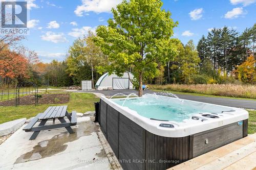 7941 10 Sideroad, Innisfil, ON - Outdoor