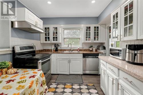 383 Frank Avenue, Windsor, ON - Indoor Photo Showing Kitchen With Double Sink