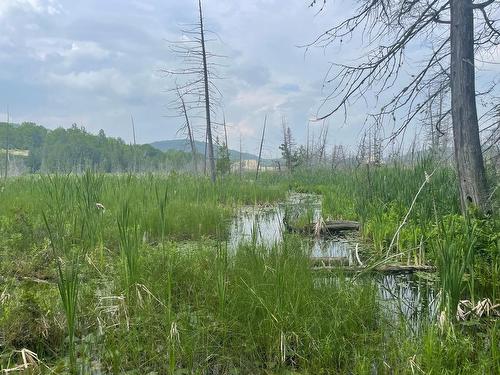 Waterfront - Ch. Kilmar, Grenville-Sur-La-Rouge, QC 