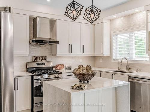 25 La Roche Ave Ave, Halton Hills, ON - Indoor Photo Showing Kitchen With Upgraded Kitchen