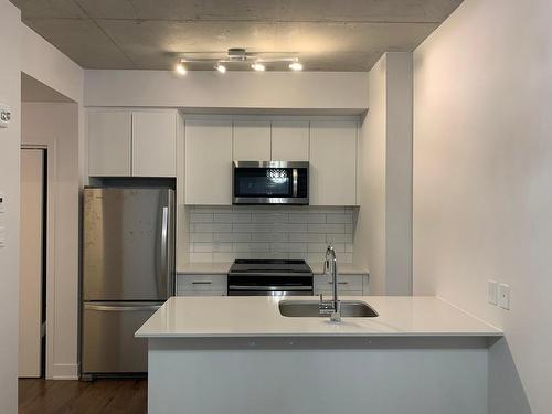 Kitchen - 306-6780 Boul. Newman, Montréal (Lasalle), QC - Indoor Photo Showing Kitchen With Upgraded Kitchen