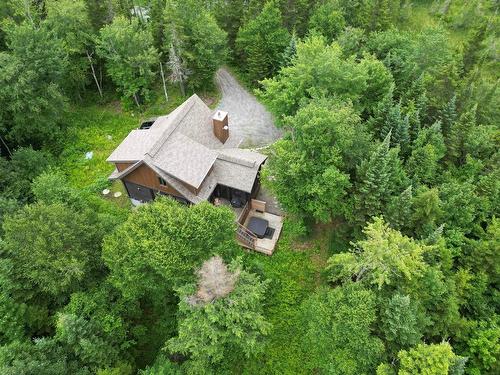 Overall view - 1416 Ch. Des Lacs, Mont-Blanc, QC - Outdoor