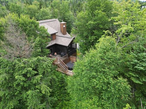 Overall view - 1416 Ch. Des Lacs, Mont-Blanc, QC - Outdoor