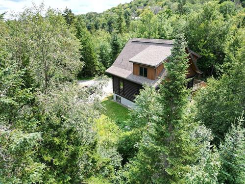 Overall view - 1416 Ch. Des Lacs, Mont-Blanc, QC - Outdoor