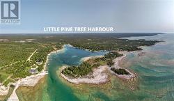 LITTLE PINE TREE HABROUR - 