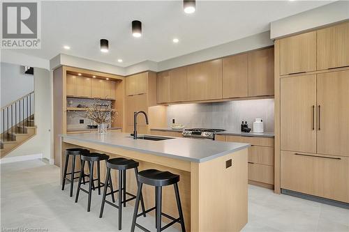 87 Dunnigan Drive, Kitchener, ON - Indoor Photo Showing Kitchen With Upgraded Kitchen