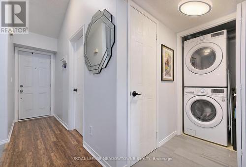 219 - 65 Bristol Road E, Mississauga, ON - Indoor Photo Showing Laundry Room