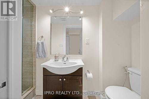 54 Viking Drive, Hamilton (Binbrook), ON - Indoor Photo Showing Bathroom