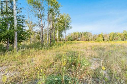 3152 Davis Drive, East Gwillimbury, ON 