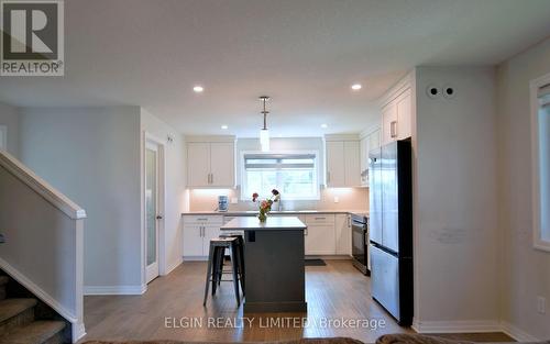 118 Benjamin Parkway, St. Thomas, ON - Indoor Photo Showing Kitchen With Upgraded Kitchen