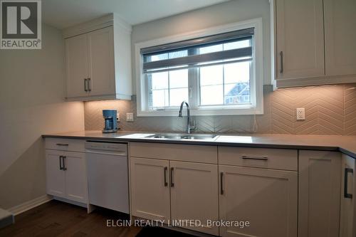 118 Benjamin Parkway, St. Thomas, ON - Indoor Photo Showing Kitchen With Double Sink