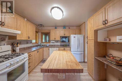 337 Philrick Drive, Galway-Cavendish And Harvey, ON - Indoor Photo Showing Kitchen With Double Sink