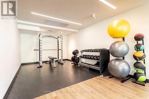 A201 - 5230 Dundas Street, Burlington (Orchard), ON - Indoor Photo Showing Gym Room