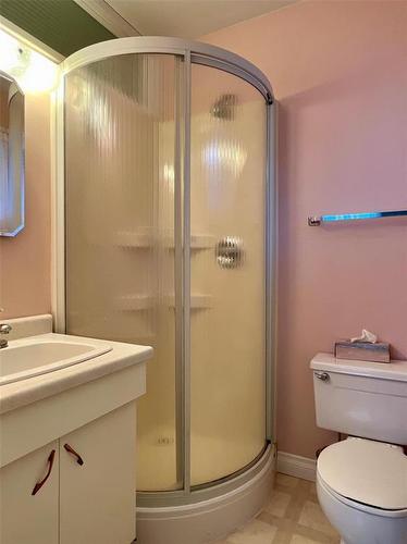 222 Buckingham Street, Boissevain, MB - Indoor Photo Showing Bathroom