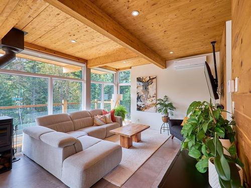 Salon - 95 Ch. Joseph-Hubert, Saint-Donat, QC - Indoor Photo Showing Living Room