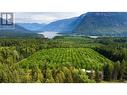 Lots 71-72 Harrison Road, Arrow Park, BC  - Outdoor With View 