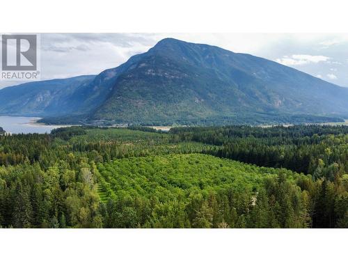 Lots 71-72 Harrison Road, Arrow Park, BC - Outdoor With View