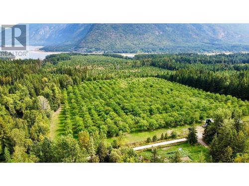 Lots 71-72 Harrison Road, Arrow Park, BC - Outdoor With View