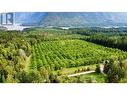 Lots 71-72 Harrison Road, Arrow Park, BC  - Outdoor With View 