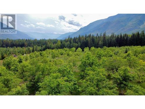 Lots 71-72 Harrison Road, Arrow Park, BC - Outdoor With View