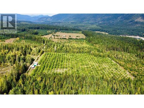 Lots 71-72 Harrison Road, Arrow Park, BC - Outdoor With View