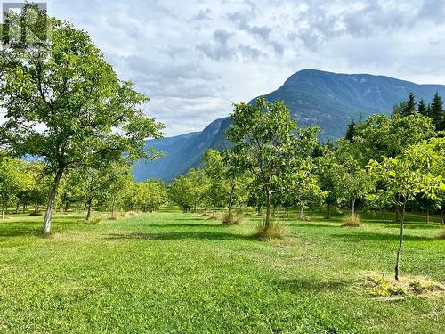 Lots 71-72 Harrison Road, Arrow Park, BC - Outdoor With View