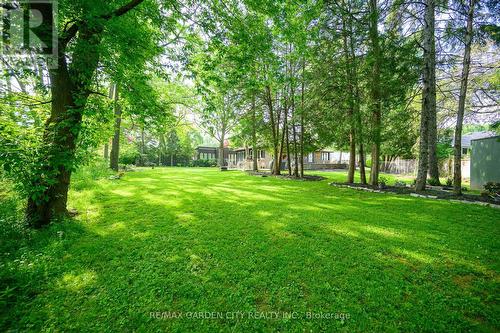 16 Freeland Court, Hamilton, ON - Outdoor