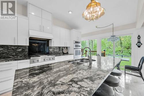 16 Freeland Court, Hamilton (Westdale), ON - Indoor Photo Showing Kitchen With Double Sink With Upgraded Kitchen