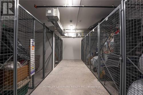 210 - 455 Charlton Avenue E, Hamilton (Stinson), ON - Indoor With Storage