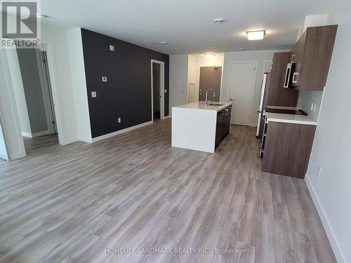 210 - 455 Charlton Avenue E, Hamilton (Stinson), ON - Indoor Photo Showing Kitchen