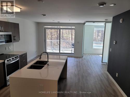 210 - 455 Charlton Avenue E, Hamilton (Stinson), ON - Indoor Photo Showing Kitchen With Double Sink