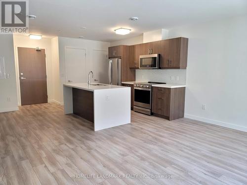 210 - 455 Charlton Avenue E, Hamilton (Stinson), ON - Indoor Photo Showing Kitchen