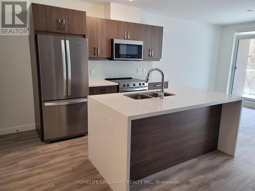 210 - 455 Charlton Avenue E, Hamilton (Stinson), ON - Indoor Photo Showing Kitchen With Double Sink With Upgraded Kitchen