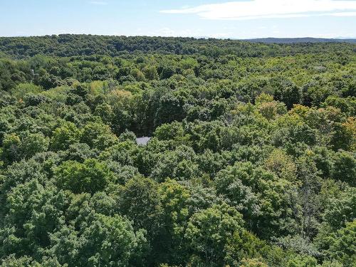 Vue d'ensemble - 8 4E Avenue, Saint-Armand, QC - Outdoor With View