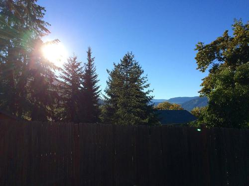 311 Gore Street, Nelson, BC - Outdoor With View