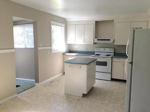 311 Gore Street, Nelson, BC - Indoor Photo Showing Kitchen