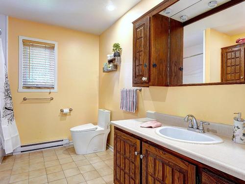 Salle de bains - 107 Rue Turenne, Repentigny (Le Gardeur), QC - Indoor Photo Showing Bathroom