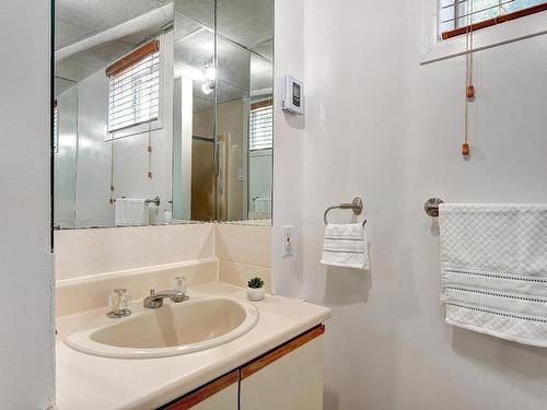 Salle de bains - 107 Rue Turenne, Repentigny (Le Gardeur), QC - Indoor Photo Showing Bathroom