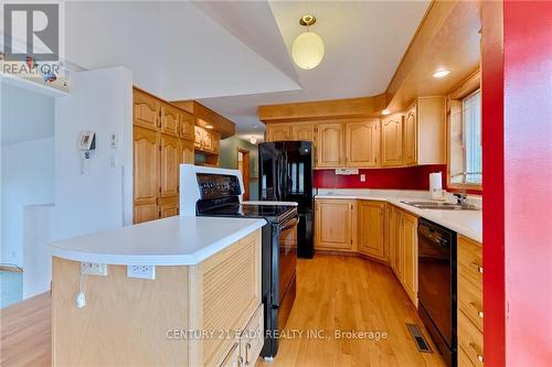 13732 60 Expressway, North Algona Wilberforce, ON - Indoor Photo Showing Kitchen With Double Sink