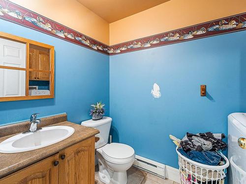 Powder room - 340 Ch. Remick, Stanstead - Canton, QC - Indoor Photo Showing Bathroom