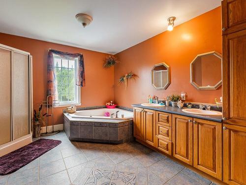 Bathroom - 340 Ch. Remick, Stanstead - Canton, QC - Indoor Photo Showing Bathroom