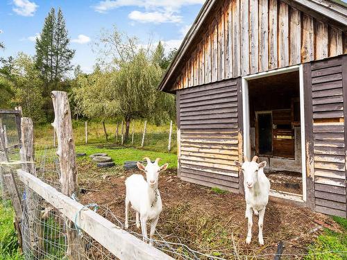 Barn - 340 Ch. Remick, Stanstead - Canton, QC - Outdoor